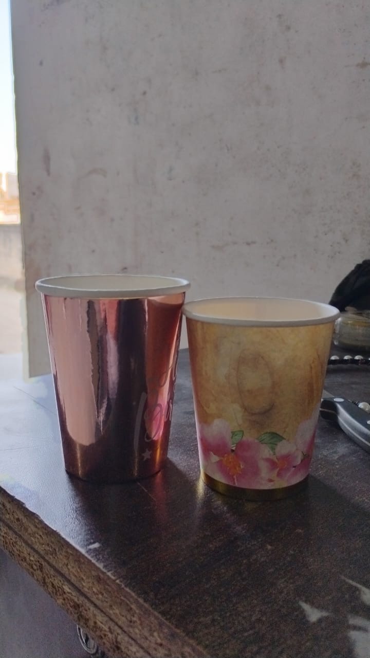Disposable Paper Cups Disposable Tea Coffee Cups (24 Pcs Set  Mix Color  Design) Disposable Paper Cups Disposable Tea Coffee Cups (24 Pcs Set  Mix Color  Design)